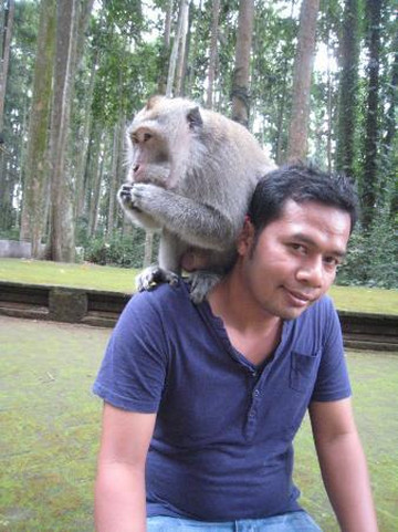 Bali Rondreis-沙努尔必去景点