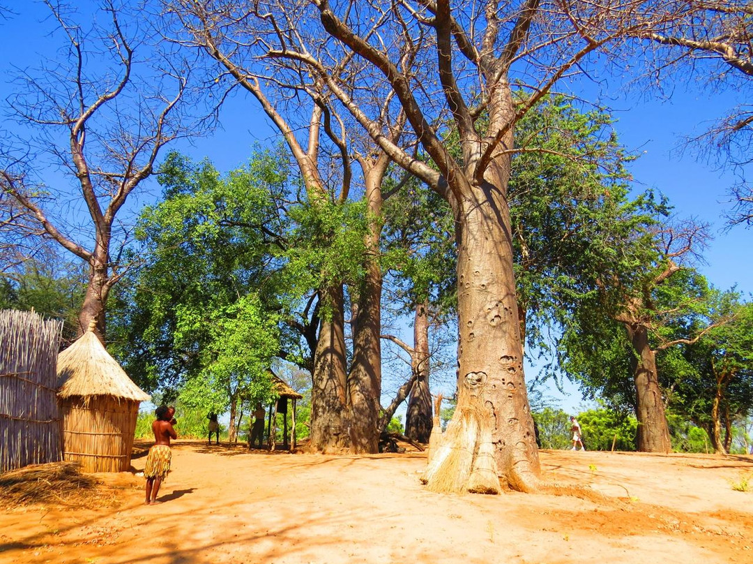 Mafwe Living Museum-康沟拉必去景点