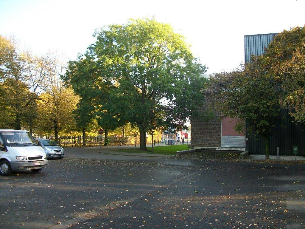 Maison de la Culture景点图片