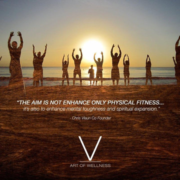 V Art of Wellness-保罗哈博必去景点