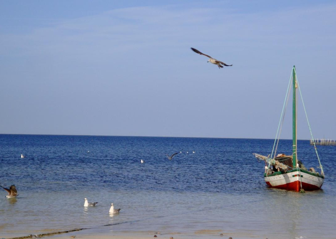 Isole Kerkennah-Kerkennah Islands必去景点