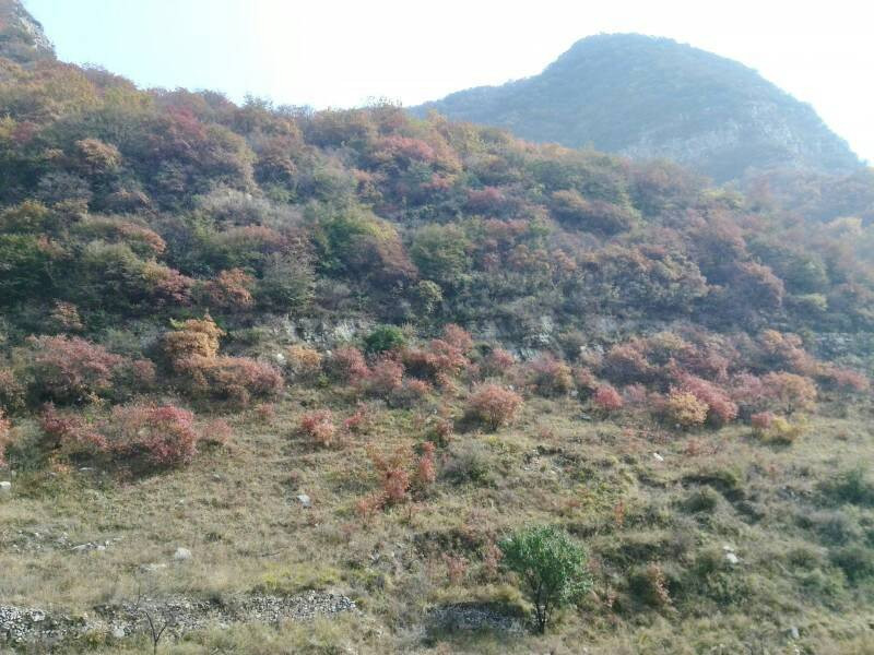 仙台山-井陉县必去景点