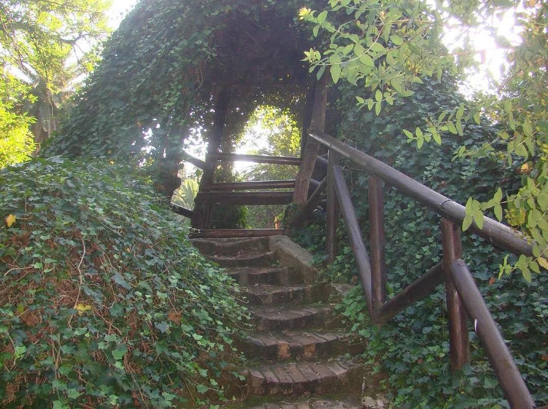 Villa Comunale Carlo Ruggiero景点图片