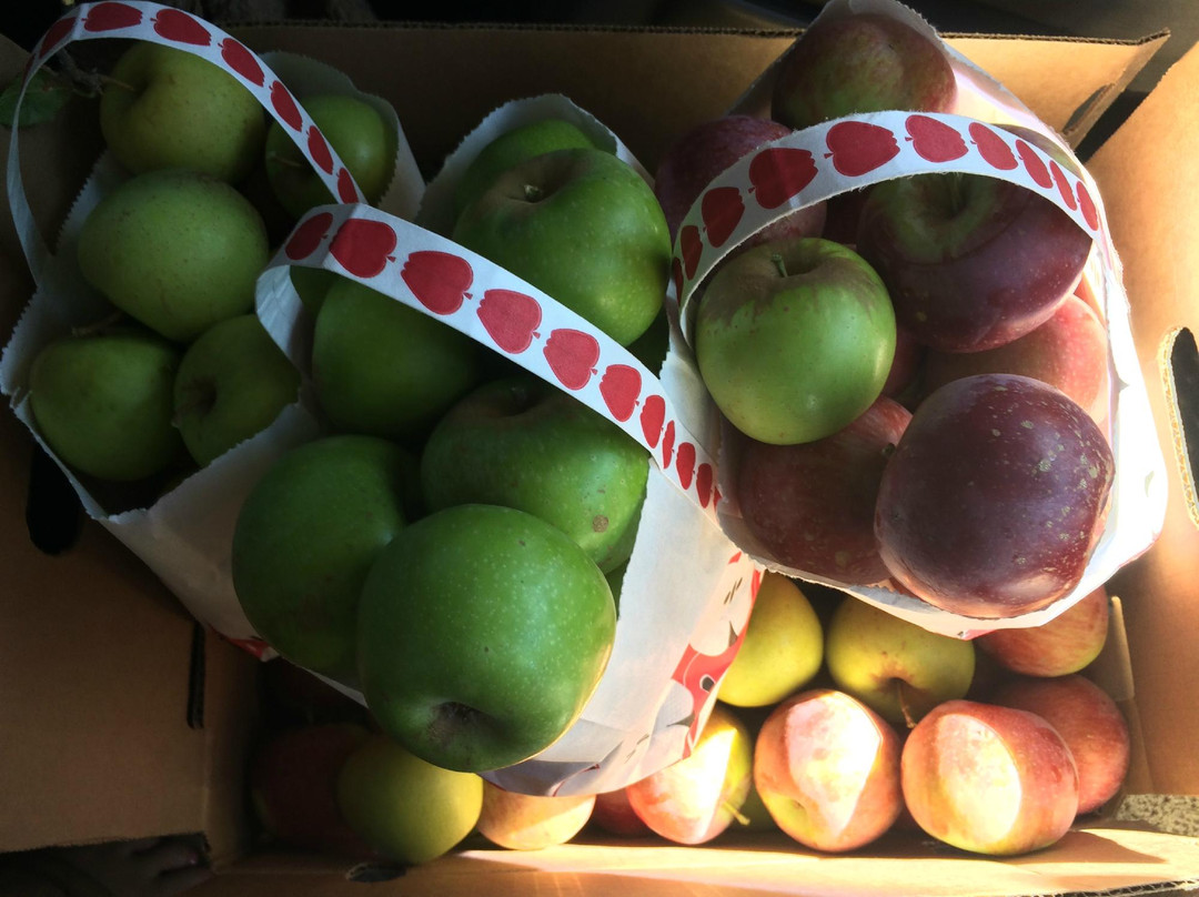 Volcan Valley Apple Farm景点图片