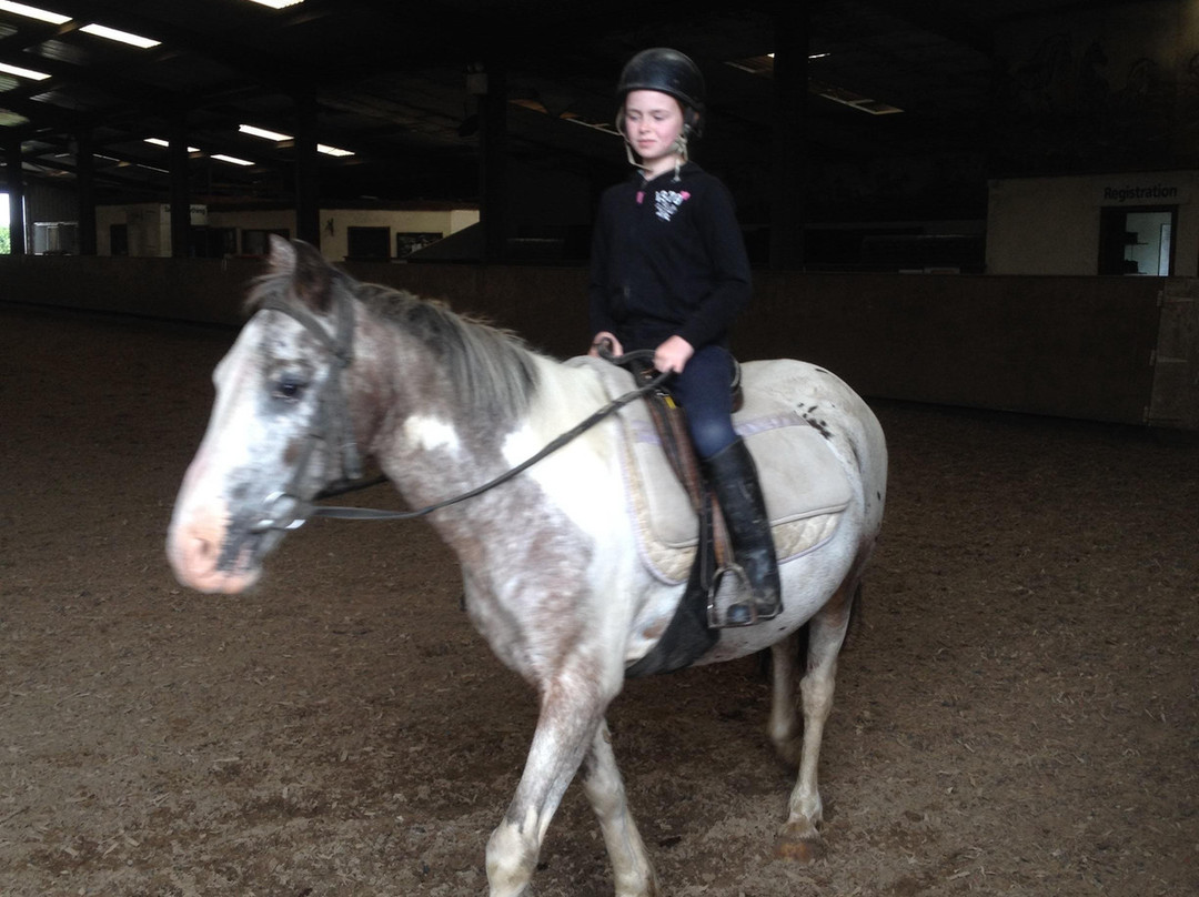 Clare Equestrian Centre景点图片