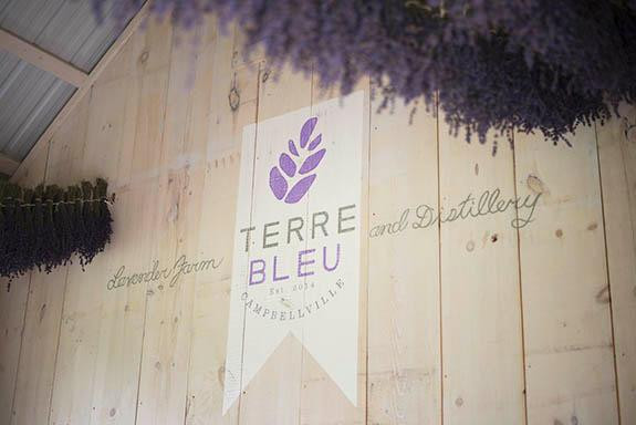 Terre Bleu Lavender Farm景点图片