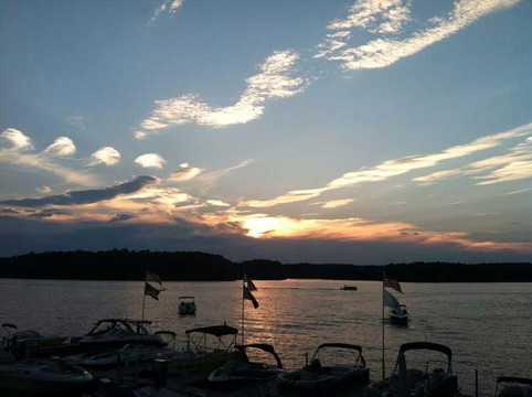 The Blue Parrot Grill-穆尔斯维尔必去景点