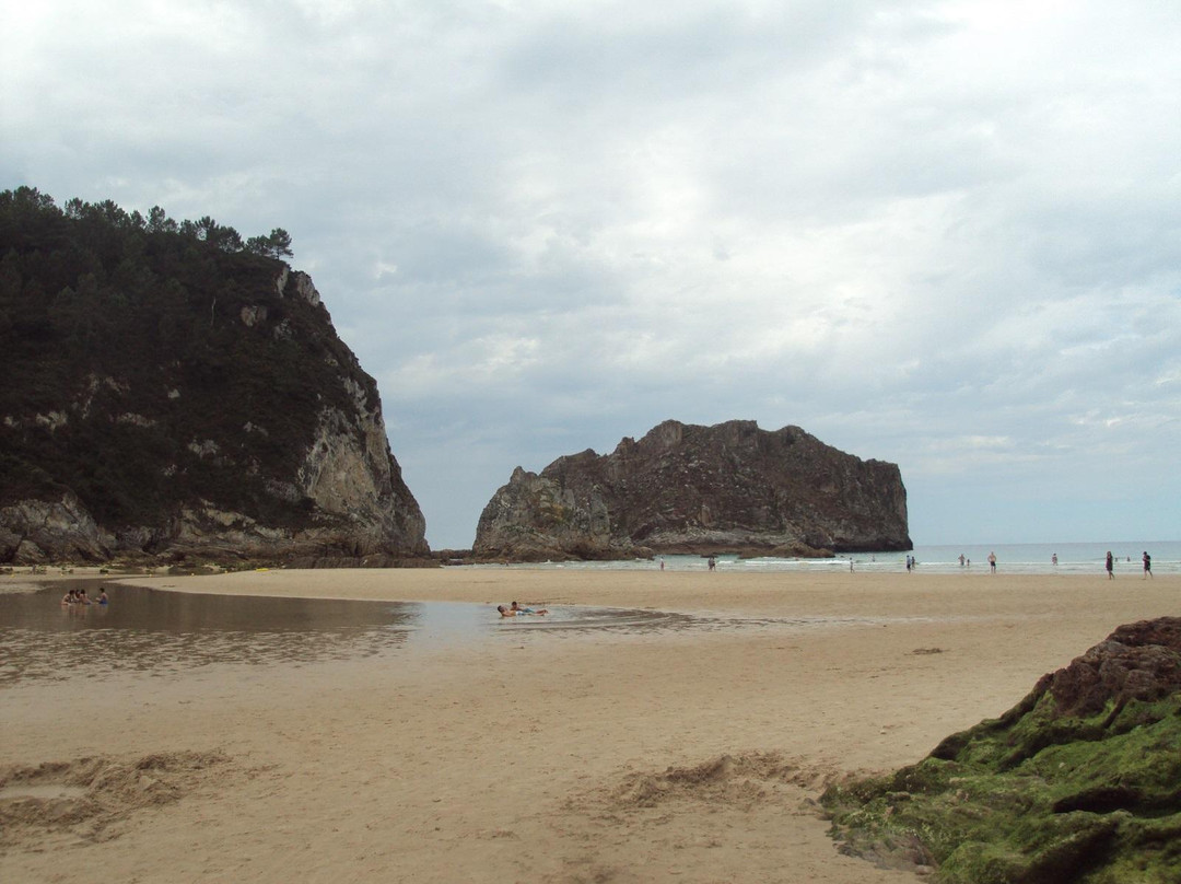Playa de La Franca景点图片