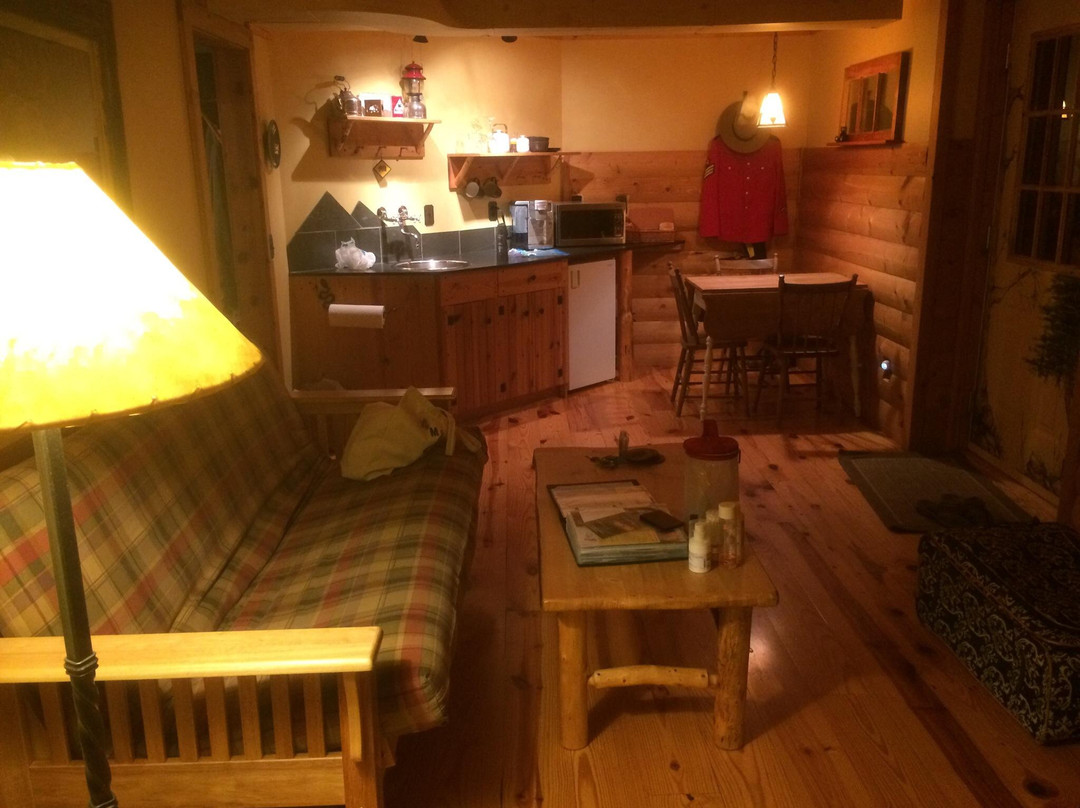 Bear Necessities B&B主图