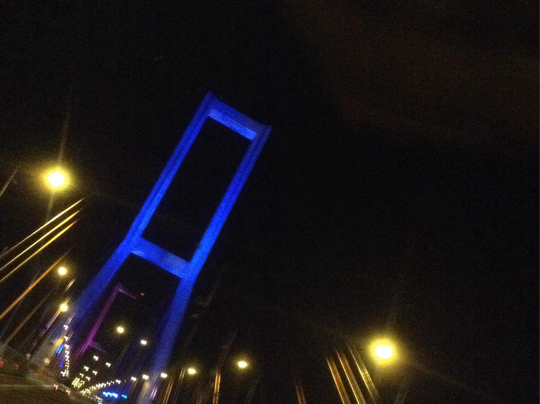 Suramadu National Bridge景点图片