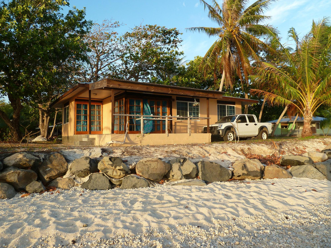 Hiva One