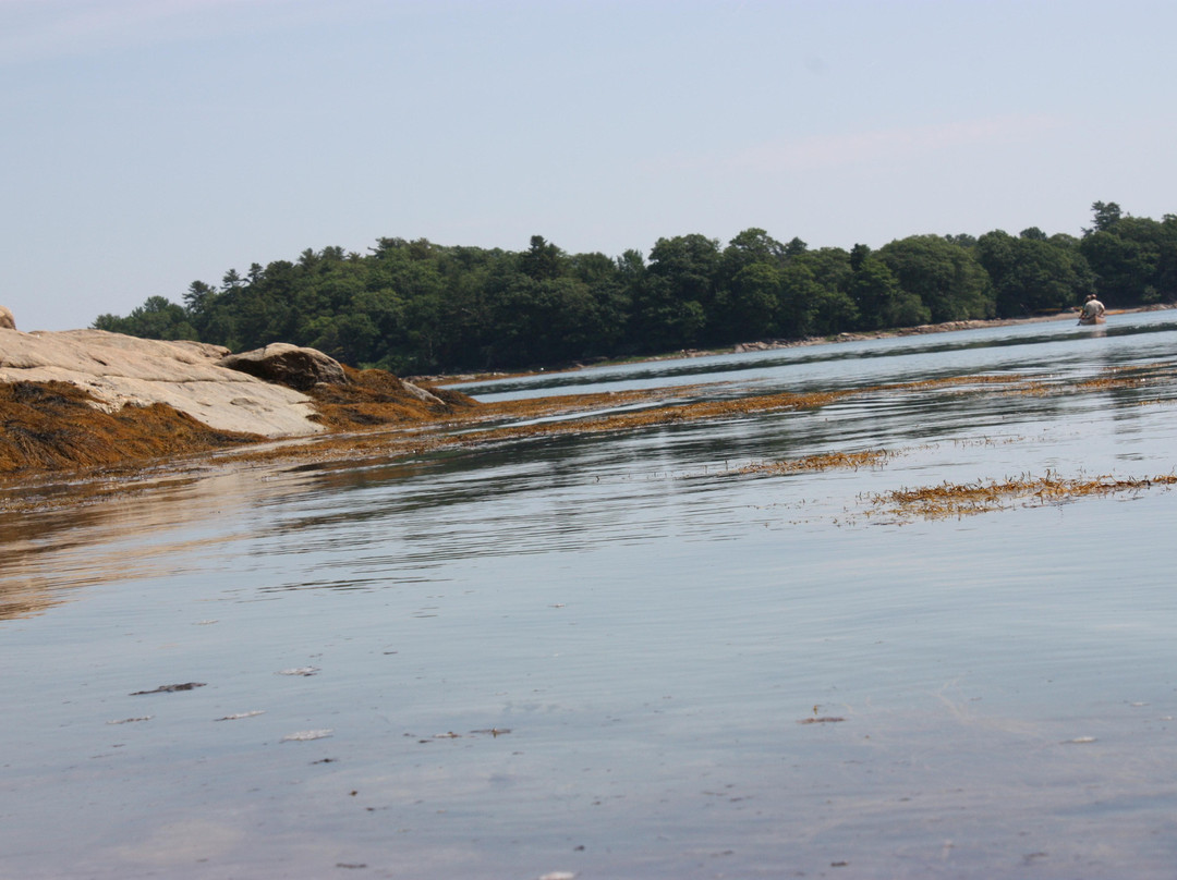 Wolfe's Neck Woods State Park景点图片