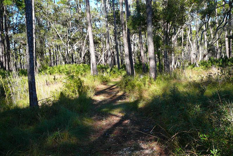 Ochlockonee River State Park-Sopchoppy必去景点