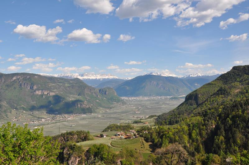 Hotel Grissianerhof主图