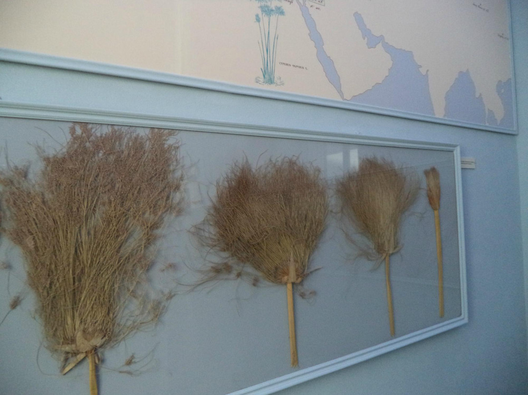 Museo del Papiro "Corrado Basile"-锡拉库扎必去景点