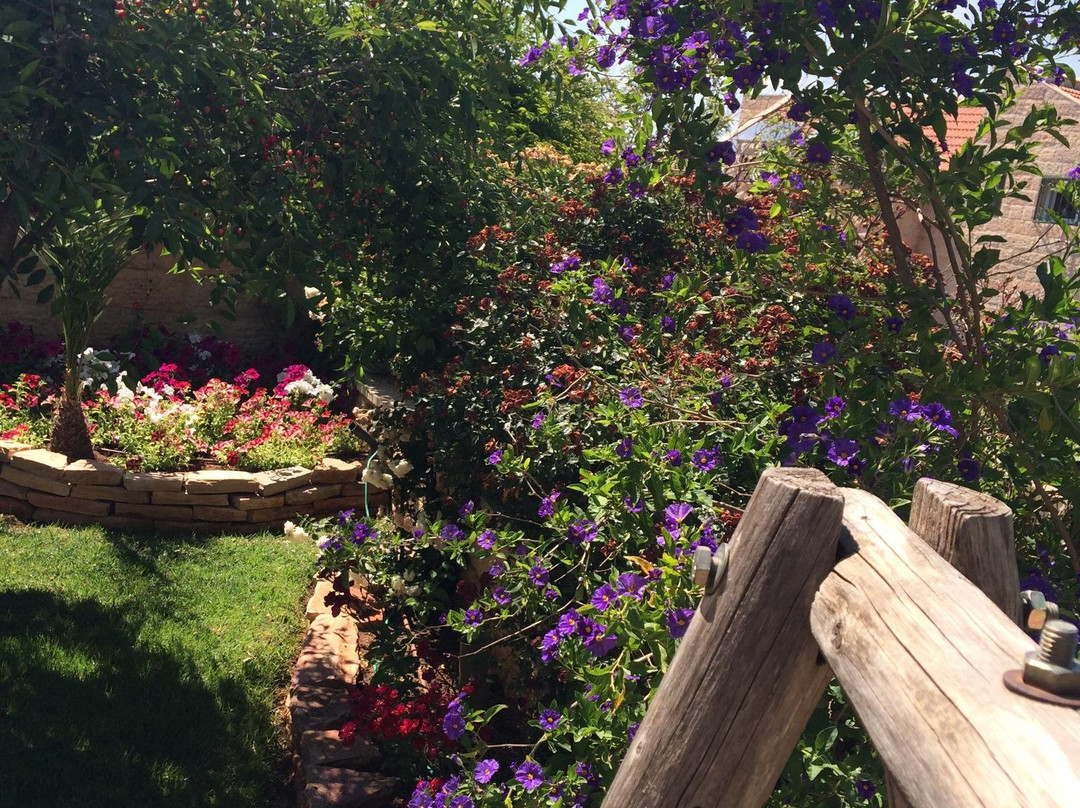 Jerusalem Of Gold Zimer主图