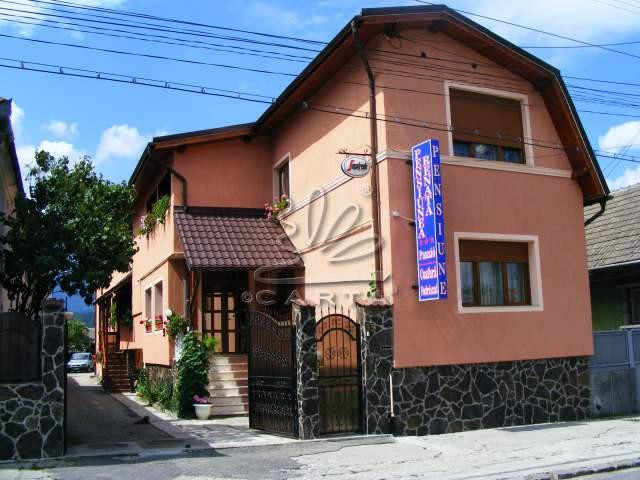 Sacele酒店住宿-Pensiunea Renata Panzio