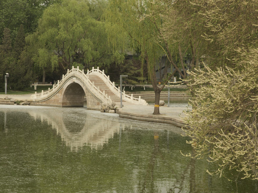 龙潭湖公园-北京市必去景点