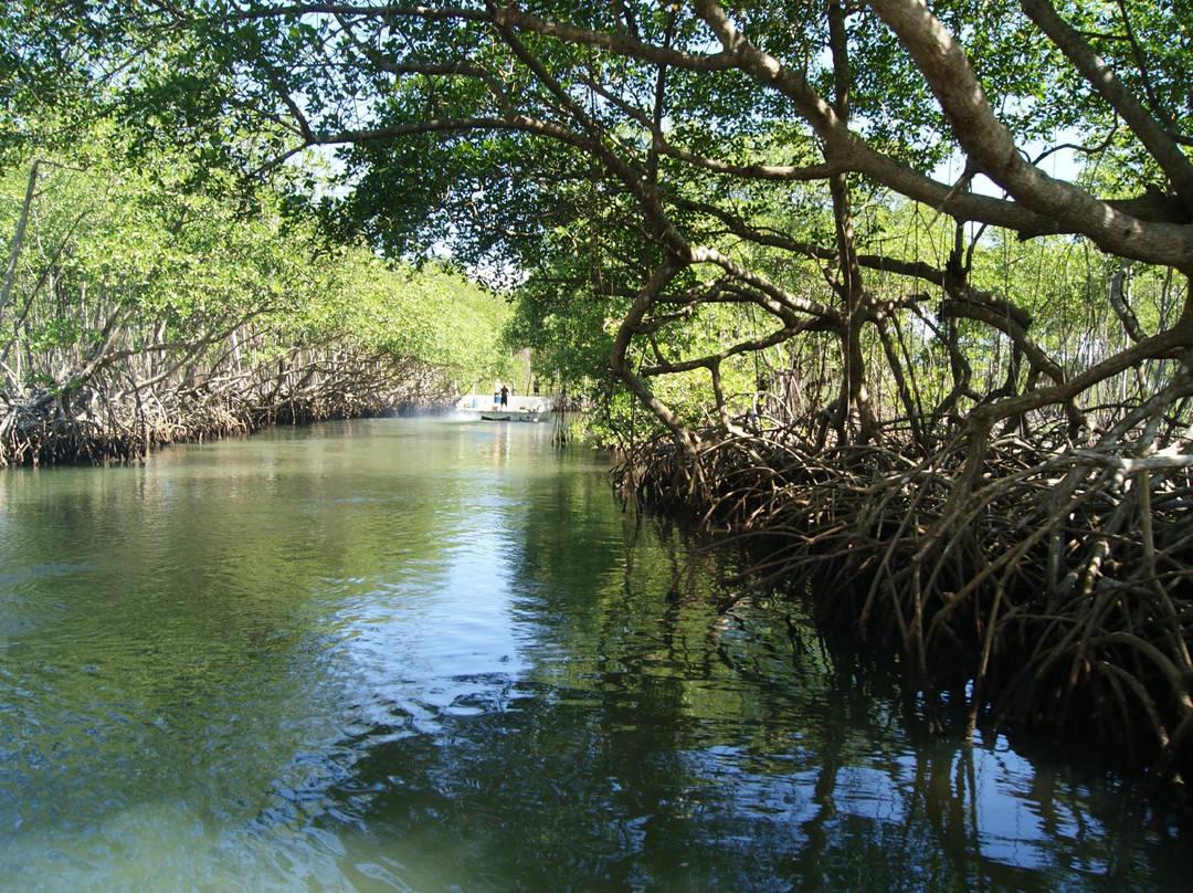Los Haitises National Park-萨马纳半岛必去景点