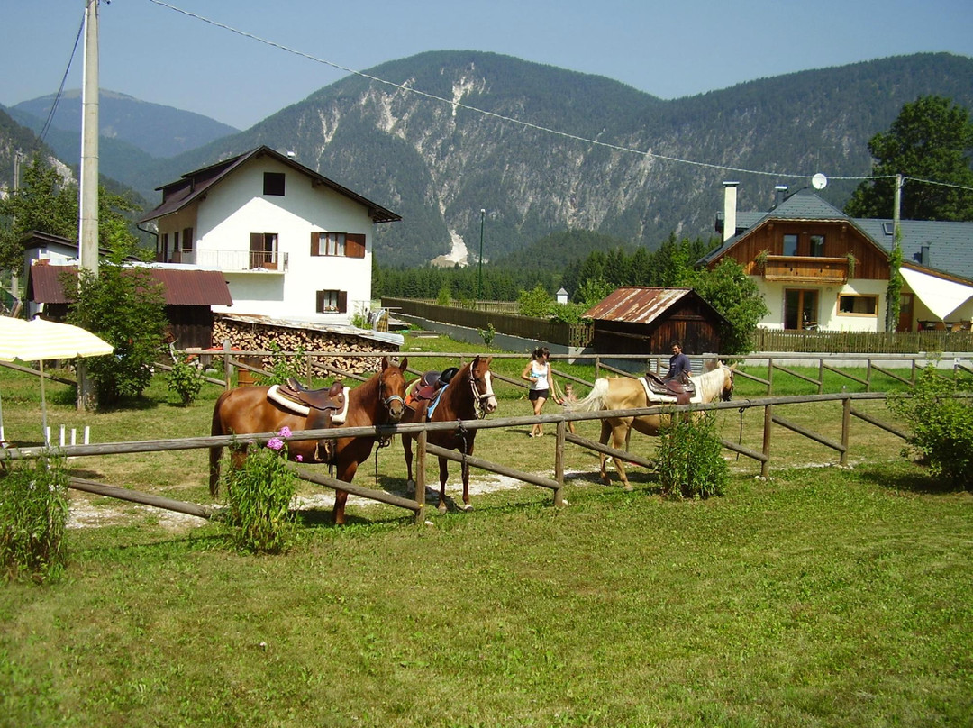 Rifugio Casa Alpina Julius Kugy
