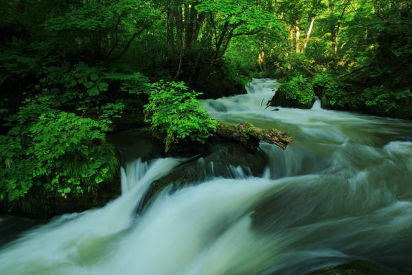 奥入濑溪-十和田市必去景点