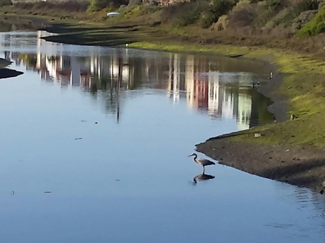 Marina Beach-玛丽安德尔湾必去景点
