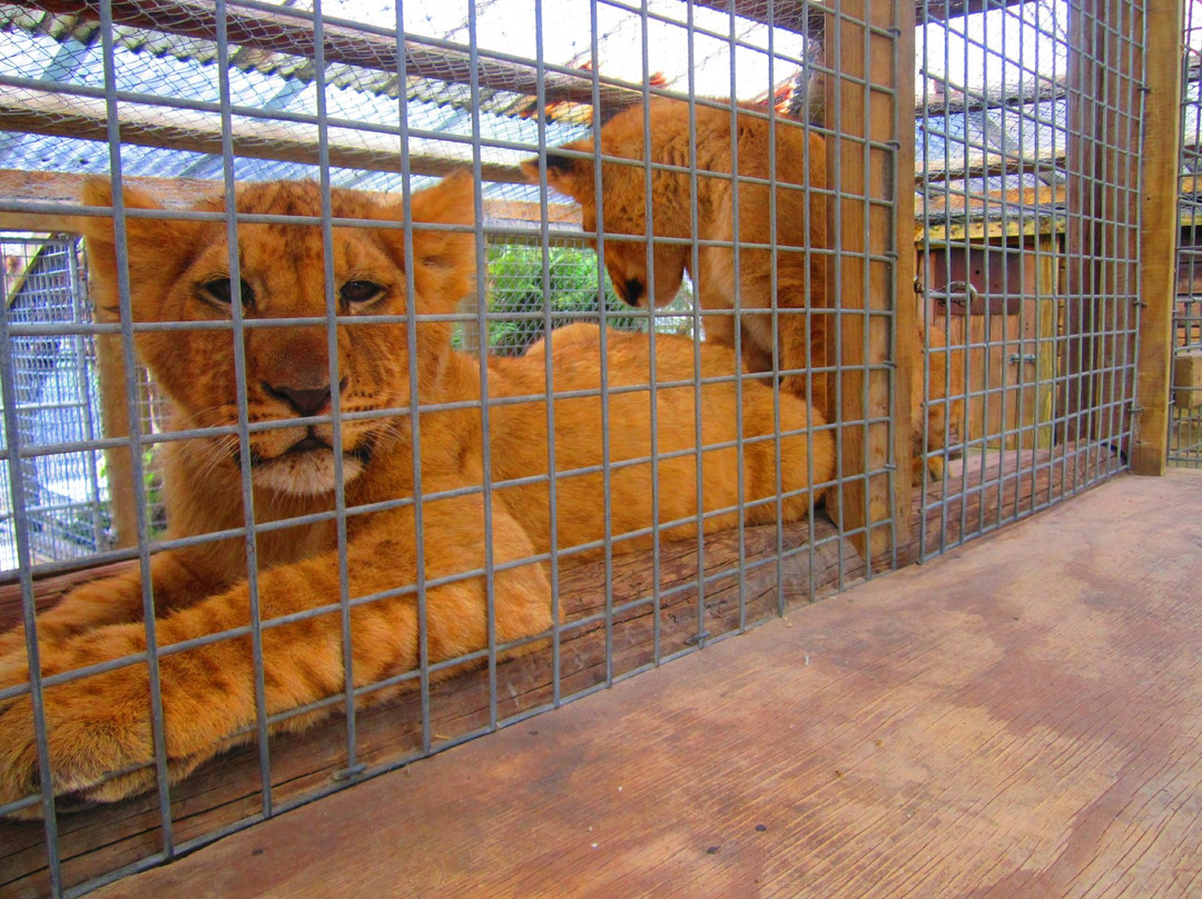 天堂谷温泉野生动物园-罗托鲁瓦必去景点