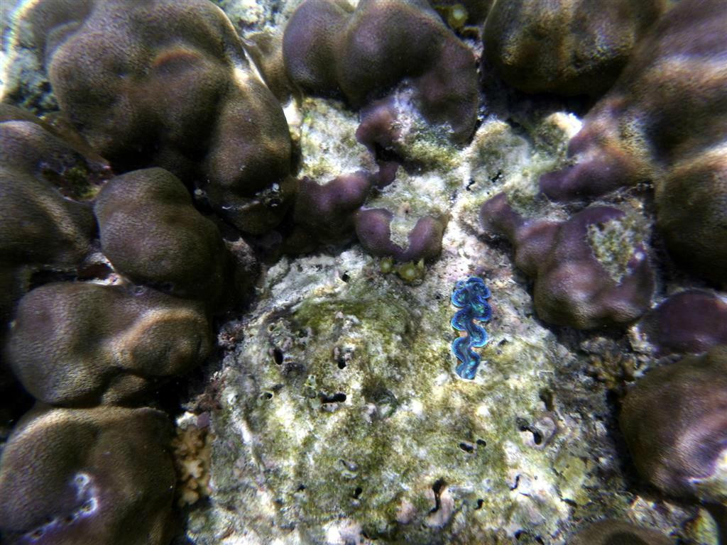 Payong-Payong Beach-爱妮岛必去景点