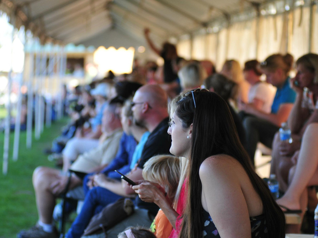 Angelstone Tournaments-Erin必去景点