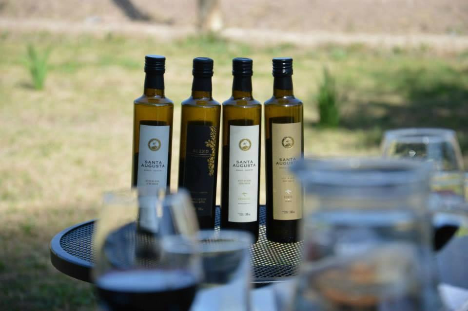 Santa Augusta Olivicola-Coquimbito必去景点