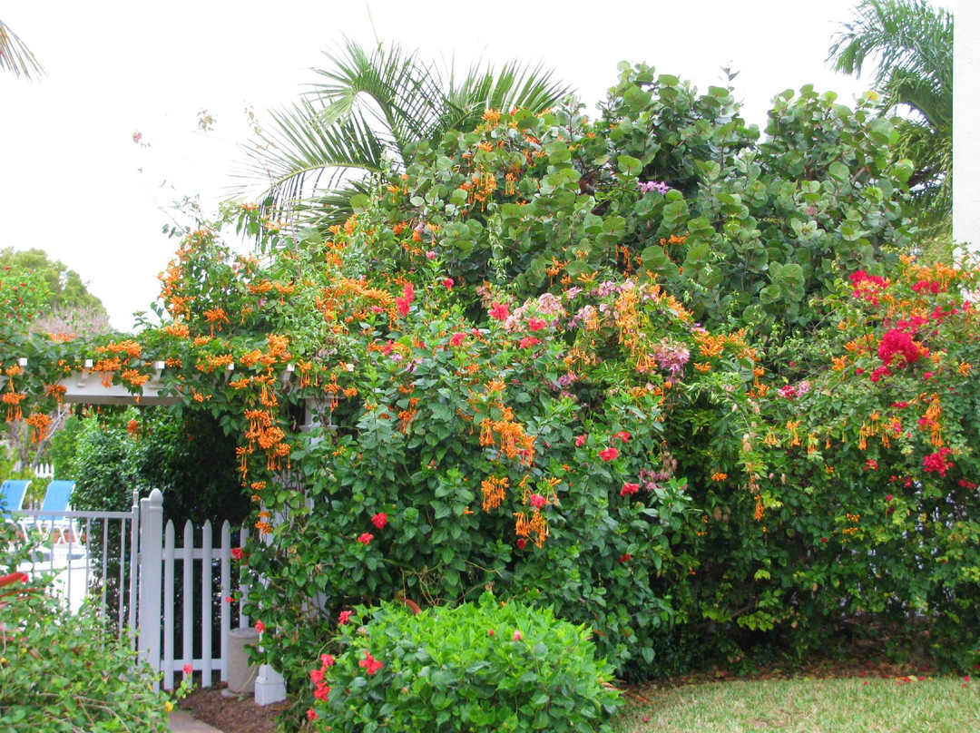 Sanibel Moorings Botanical Garden Tours景点图片