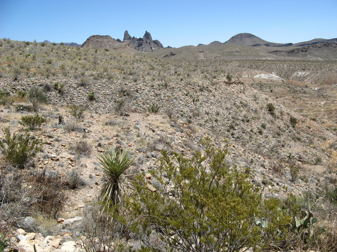 Mule Ears Spring Trail景点图片