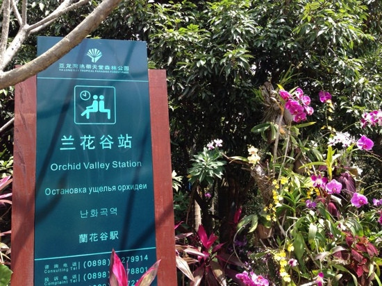 亚龙湾热带森林公园景点图片