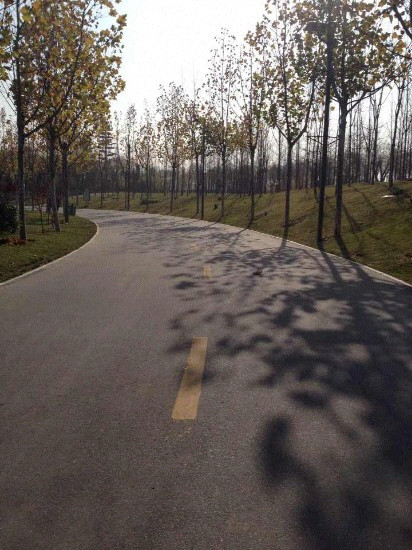 丰庆公园-西安市必去景点