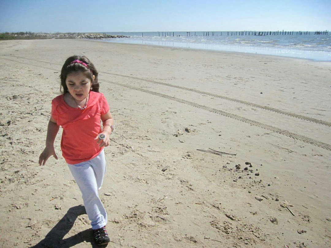 El Jardin Del Mar-盖维斯顿必去景点