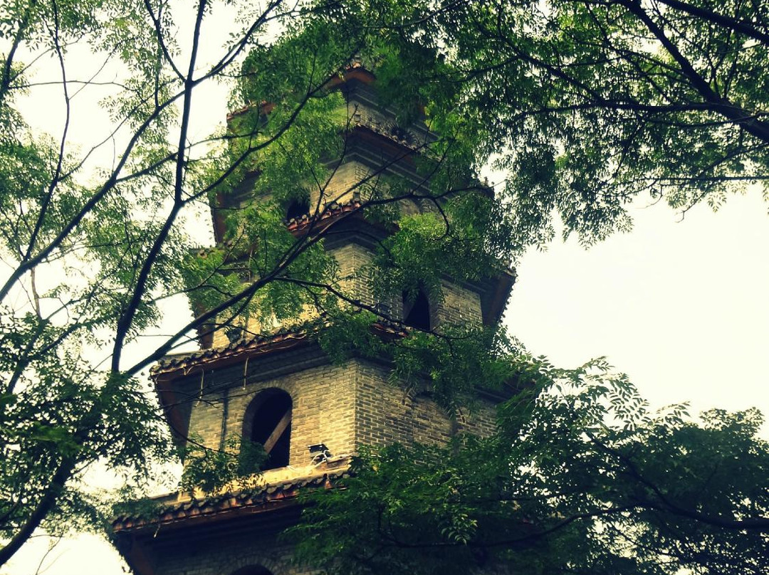 蟠龙山公园-柳州市必去景点