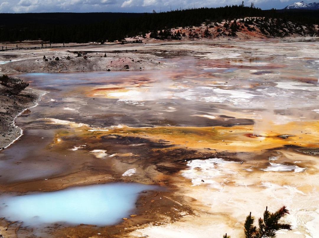 诺里斯间歇泉盆地-黄石国家公园必去景点