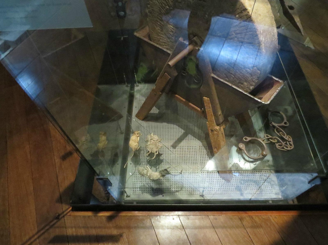 海德公园营区博物馆-悉尼必去景点