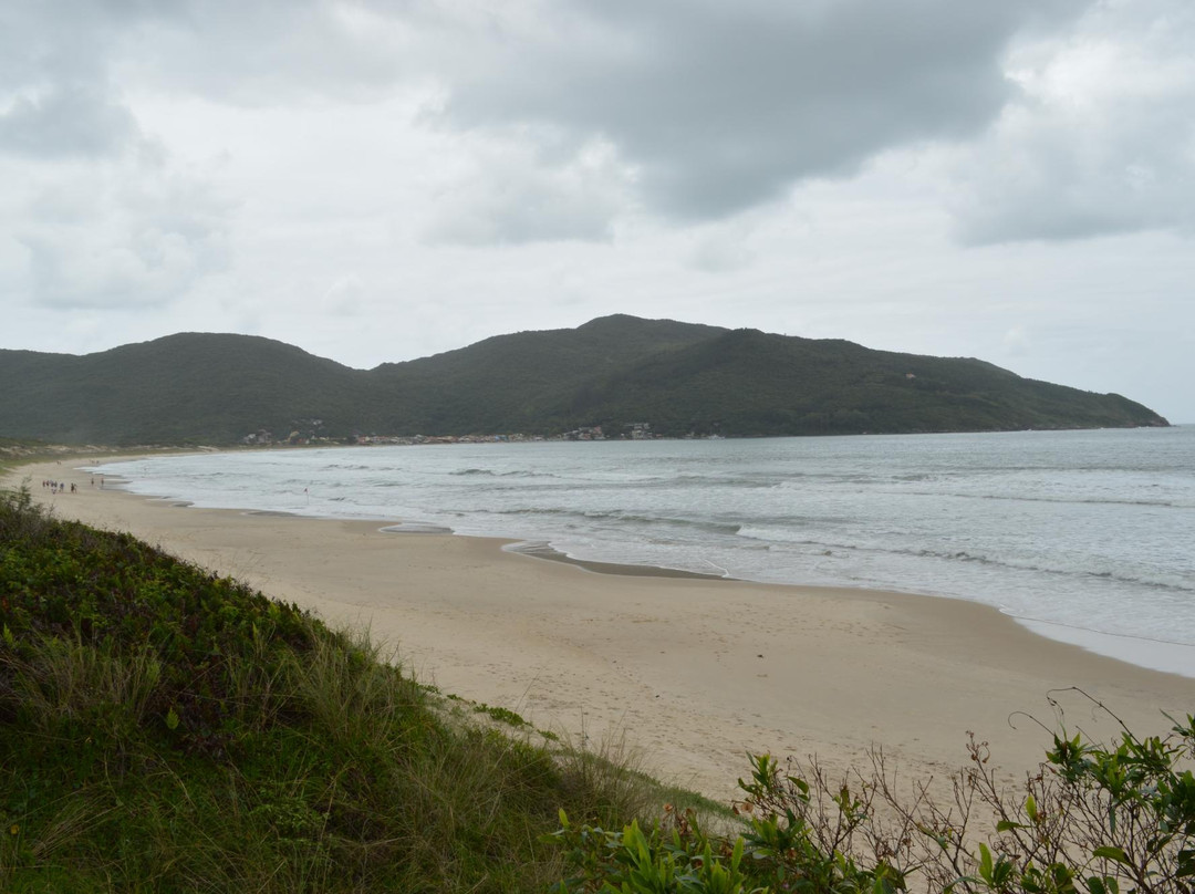 Praia dos Açores景点图片
