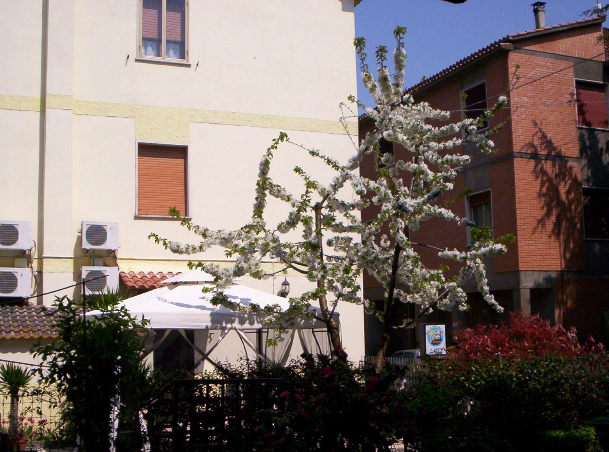 B&b Al Porto-官方