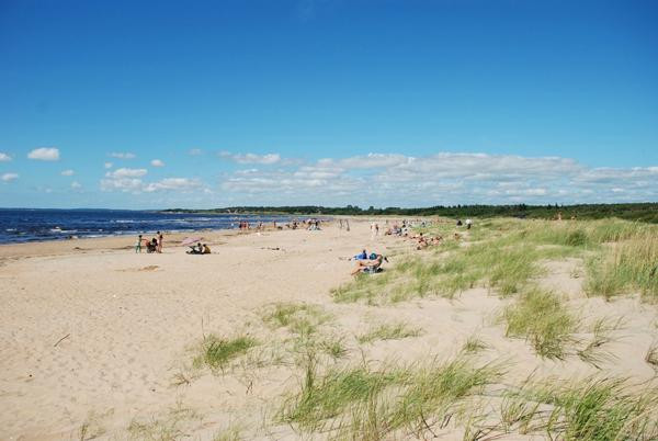 Gullbrannagarden