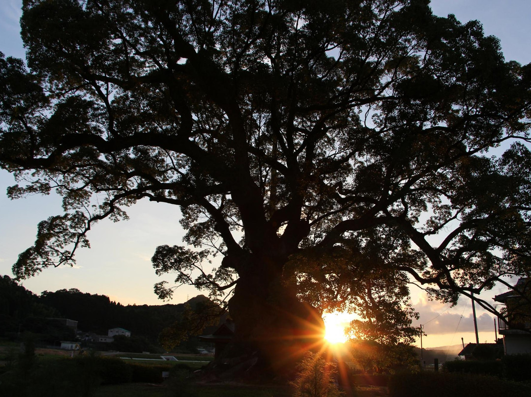 Kawagono Okusu-武雄市必去景点