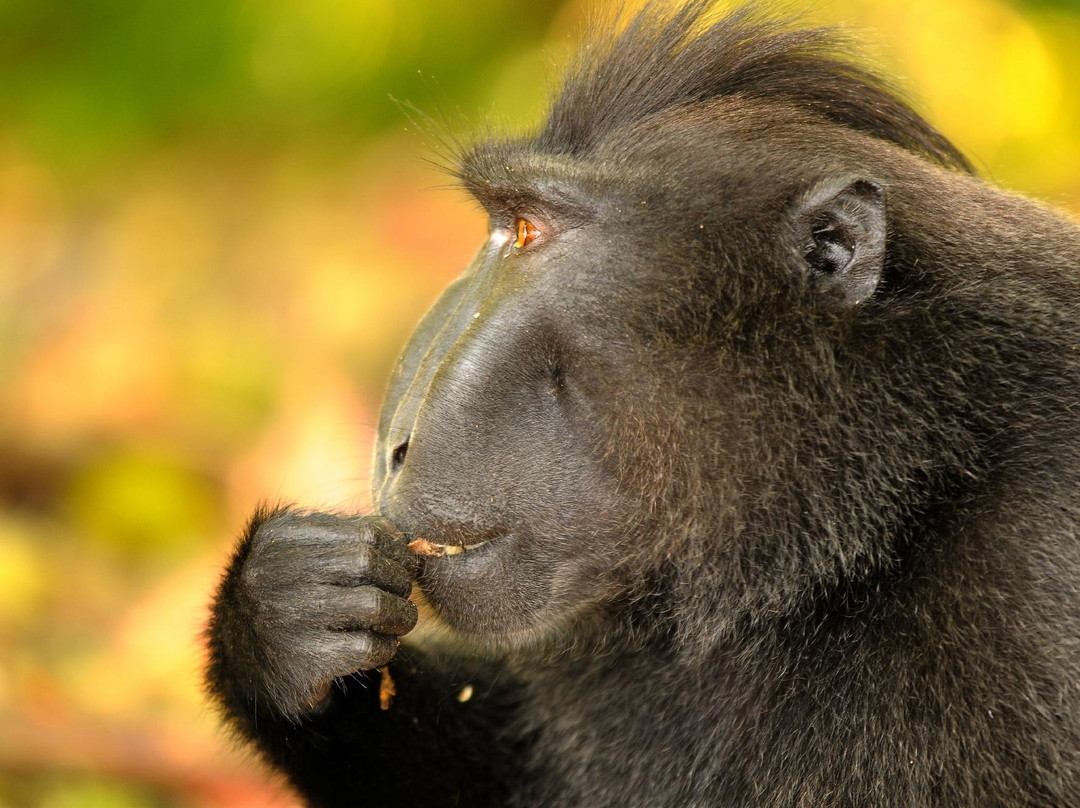 Mama Roos Home Stay主图