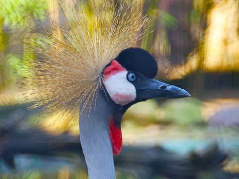 香港动植物公园-香港必去景点