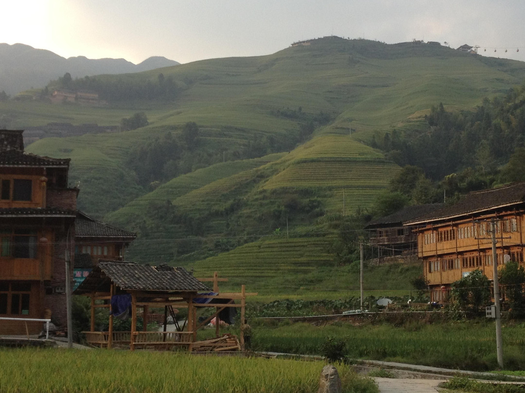 吾不知其名主图