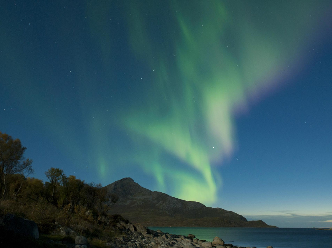 The AuroraChaser Kjetil Skogli景点图片