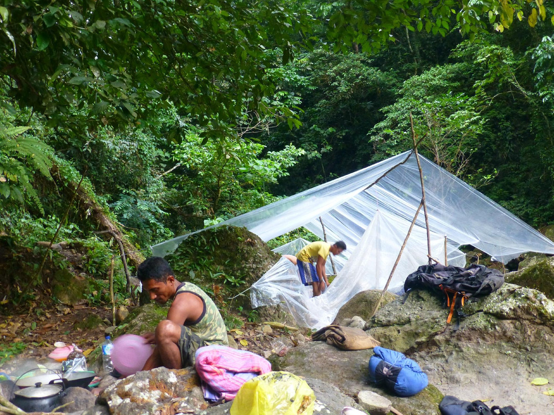 Jhony Jungle Trekking-Ketambe必去景点
