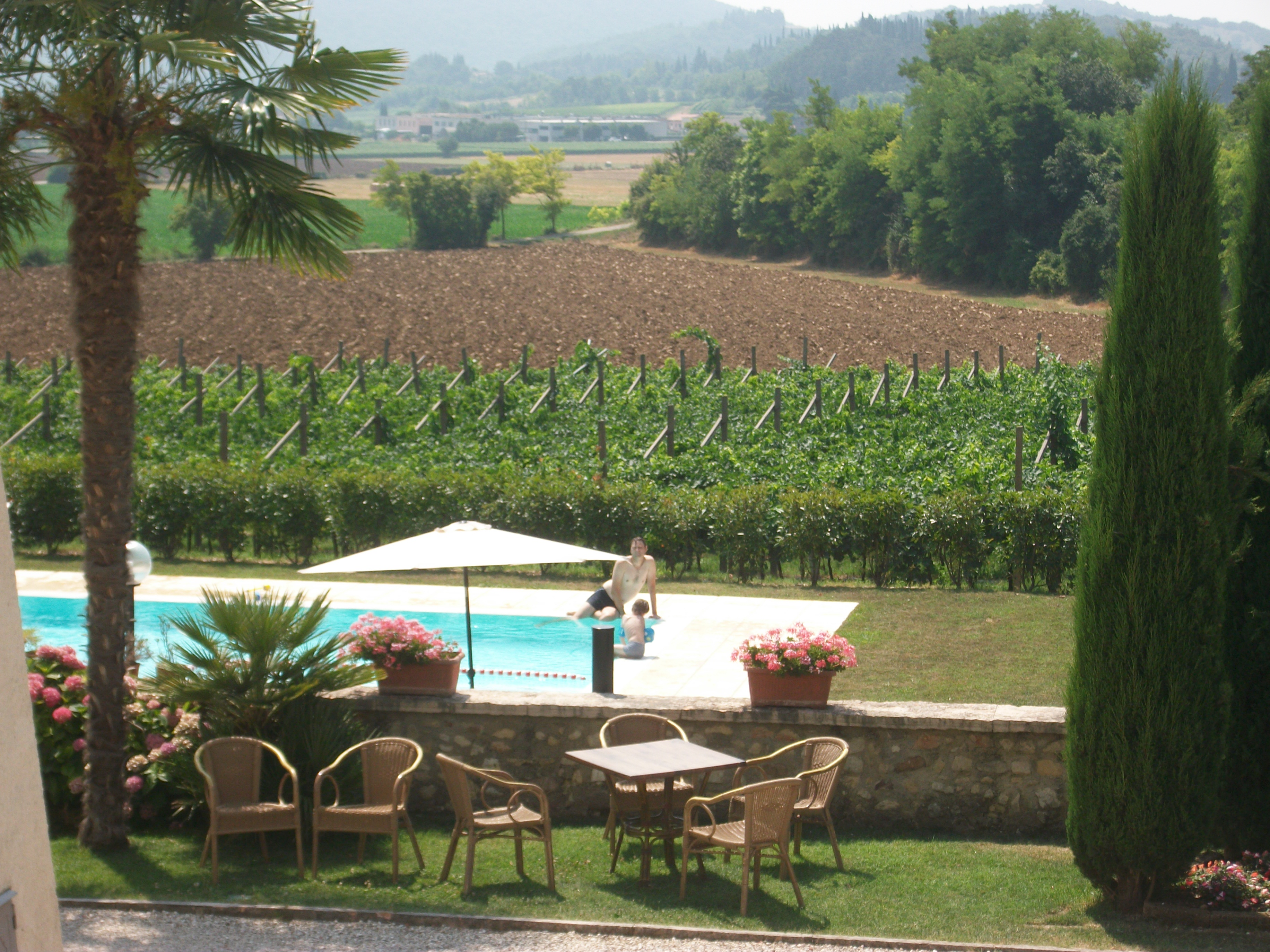 Agriturismo Corte Dei Fiori-泳池