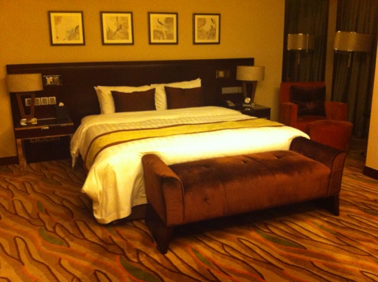 天津天诚丽筠酒店-客卧