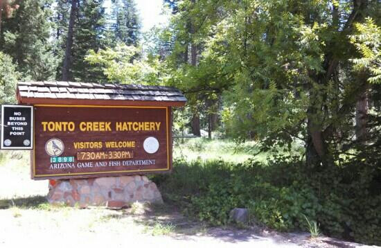 Tonto Creek Fish Hatchery-Payson必去景点